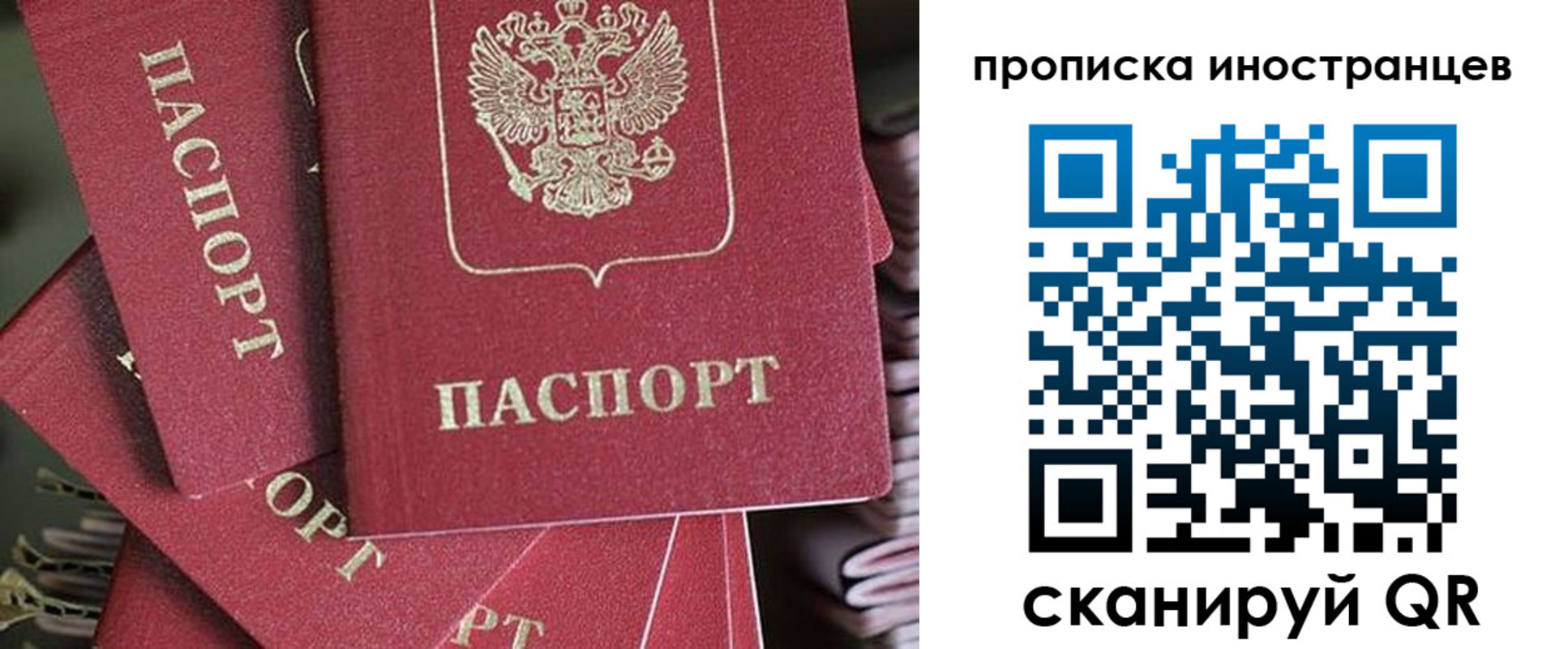 временная прописка в Алексеевке